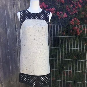 Ann Taylor Dress